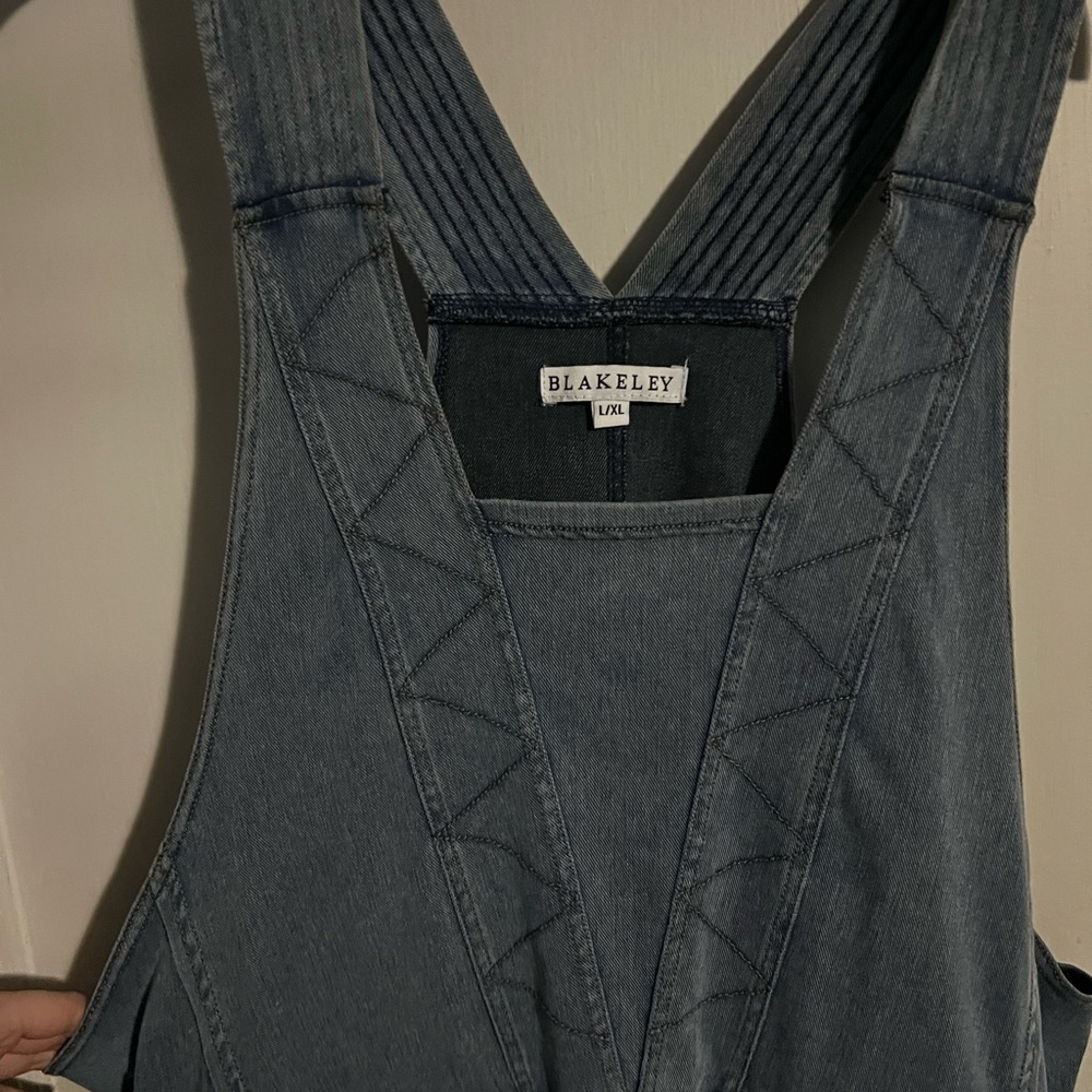 Blue Denim Overall Dress - Picture 5 of 6